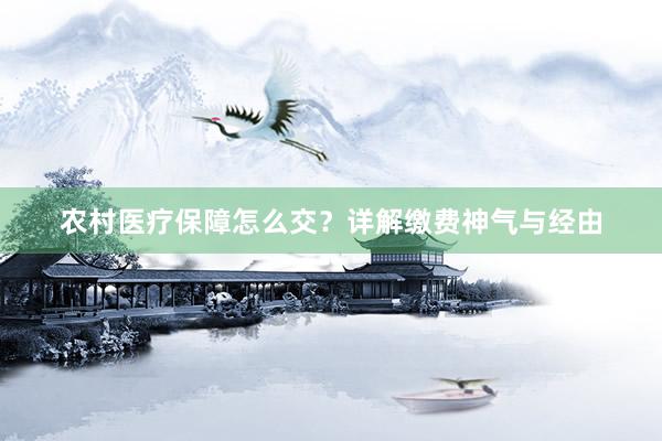 农村医疗保障怎么交？详解缴费神气与经由