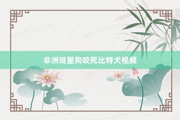 非洲斑鬣狗咬死比特犬视频