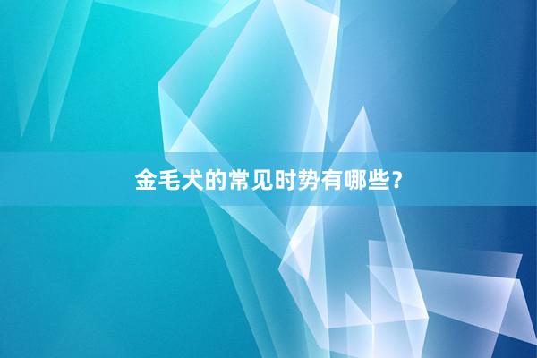 金毛犬的常见时势有哪些？